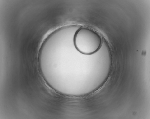X0000091931168200709051235