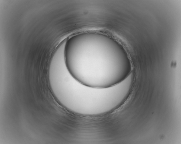 X0000091931169200709051235