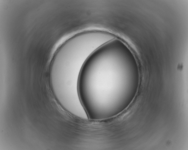 X0000091931175200709051234