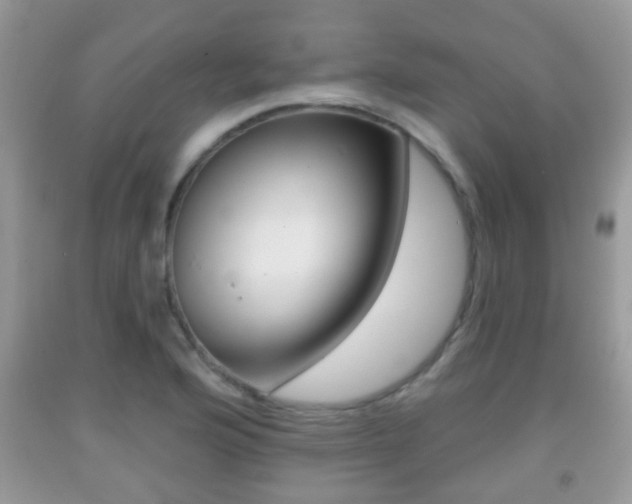 X0000091931176200709051234