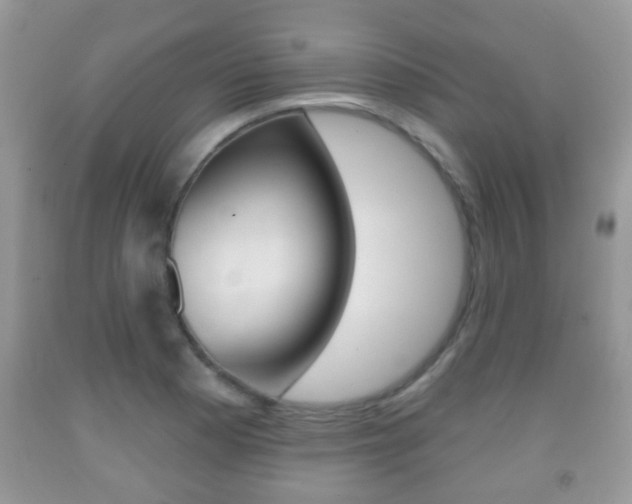 X0000091931177200709051234