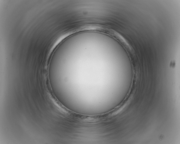 X0000091931178200709051234