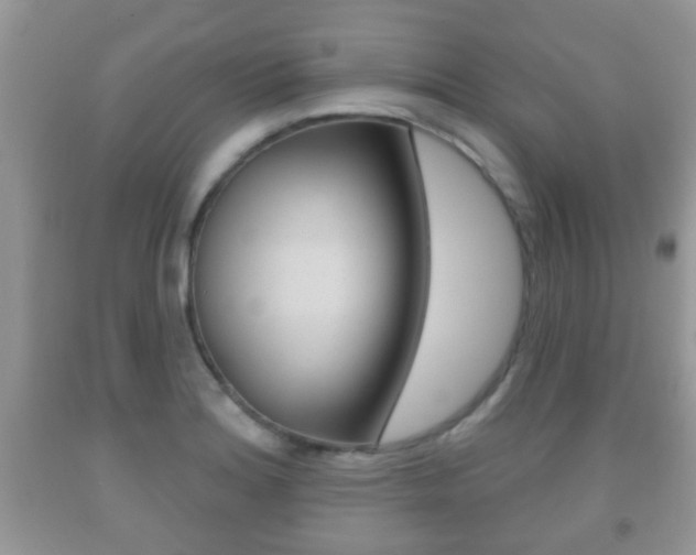 X0000091931180200709051234