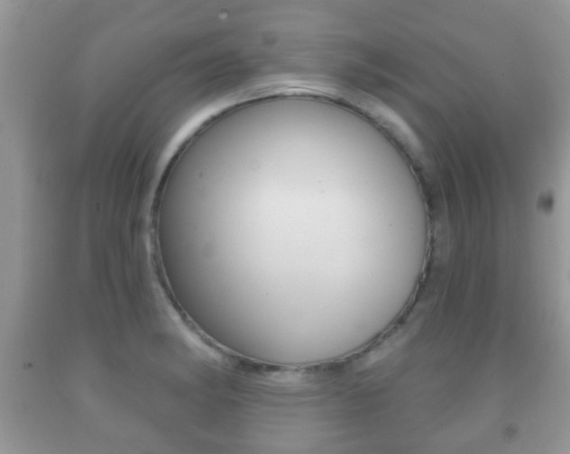 X0000091931182200709051234