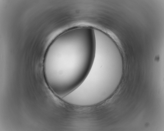 X0000091931183200709051234