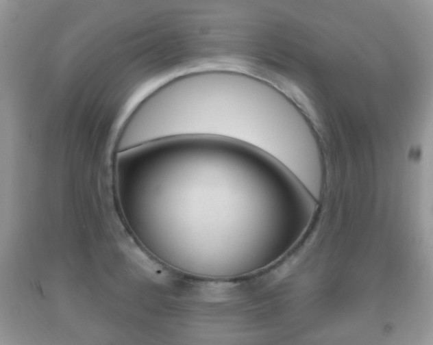 X0000091931184200709051234