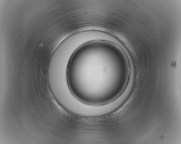 X0000091931185200709051234