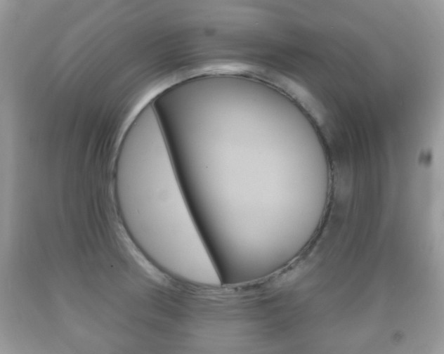 X0000091931186200709051234