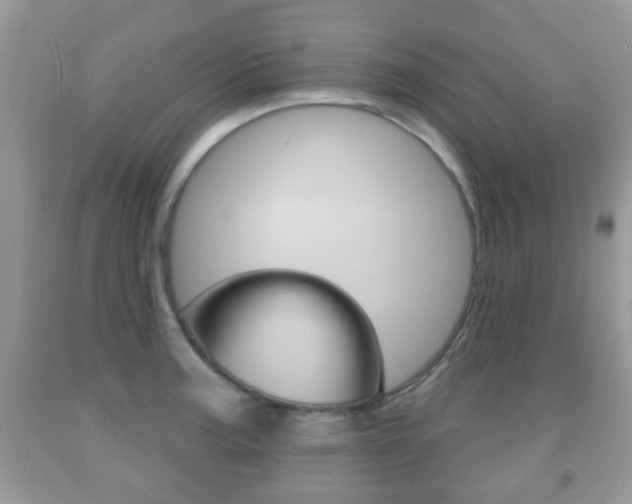 X0000091931187200709051234