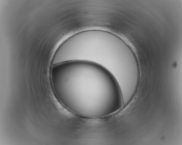 X0000091931189200709051234