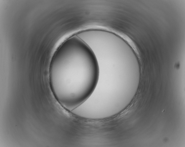X0000091931191200709051234