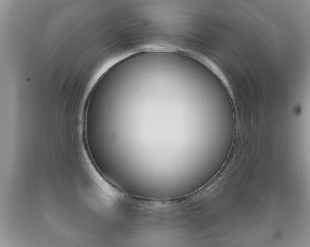 X0000091931195200709051234