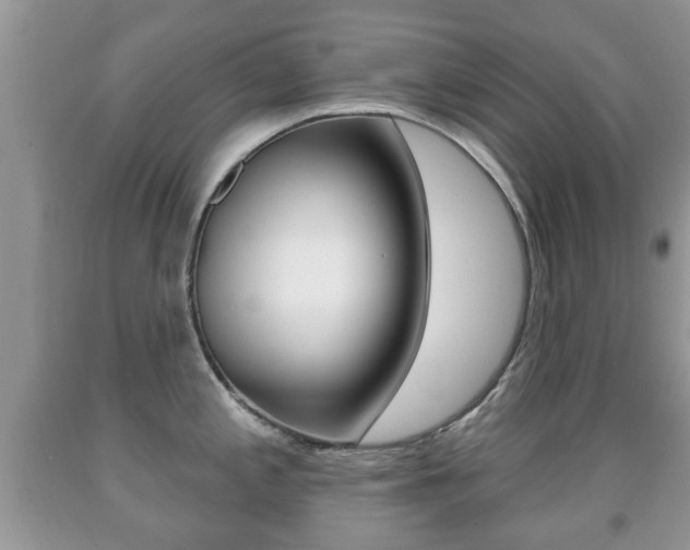 X0000091931197200709051234