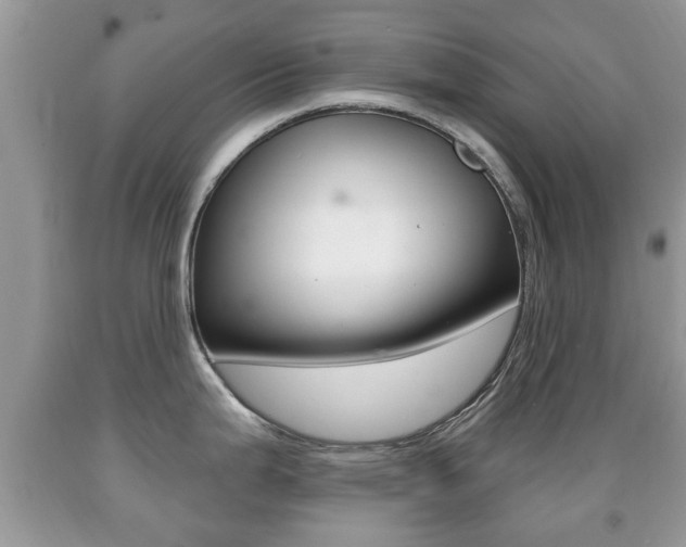 X0000091931199200709051234