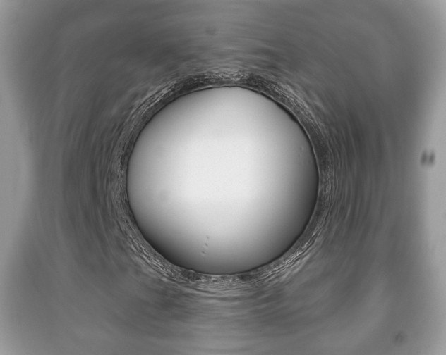 X0000091931201200709051233