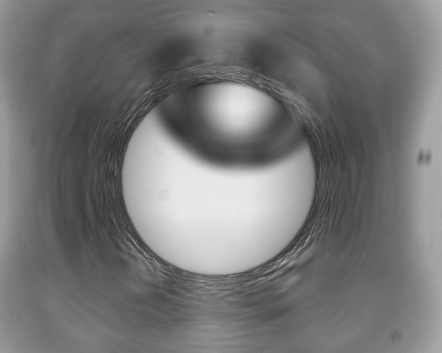 X0000091931202200709051233