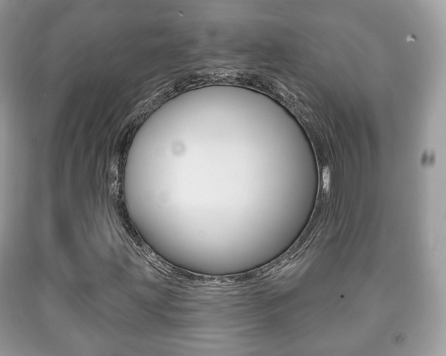X0000091931203200709051233