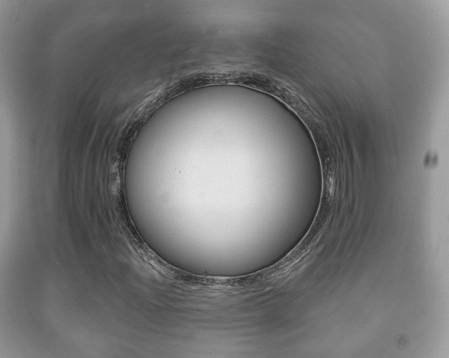 X0000091931204200709051233