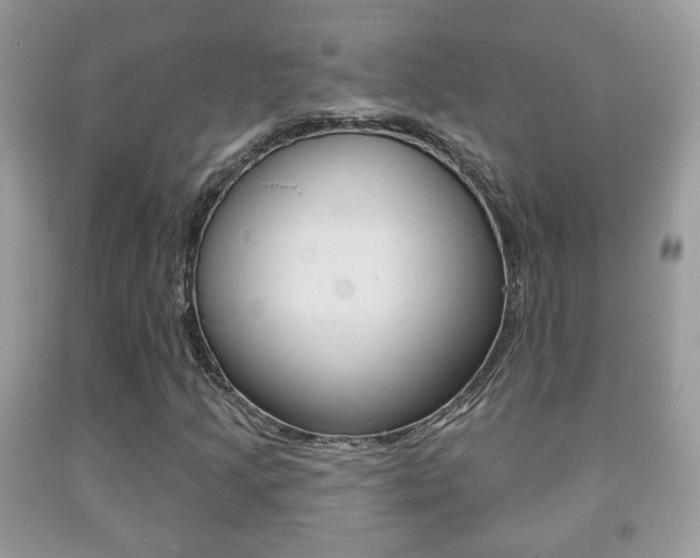 X0000091931205200709051233