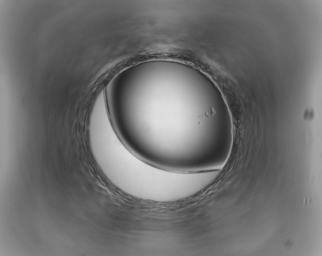 X0000091931206200709051233