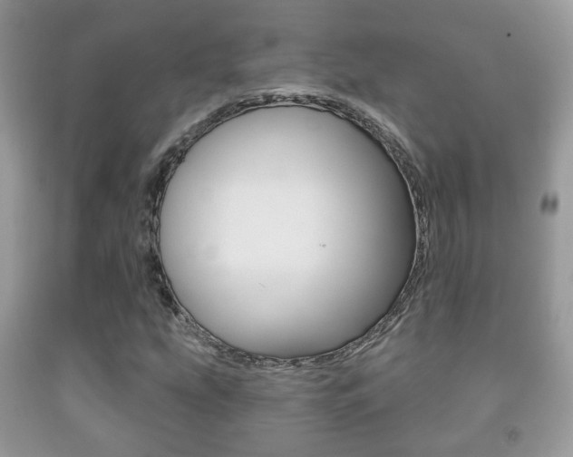 X0000091931207200709051233