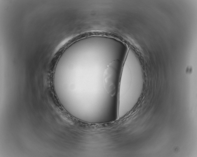 X0000091931208200709051233