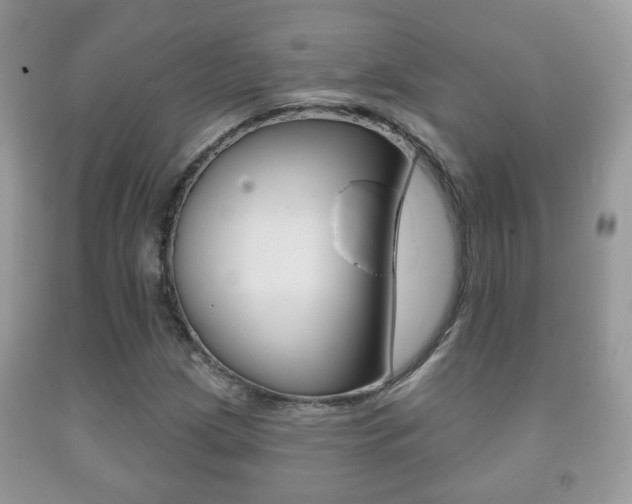 X0000091931209200709051233