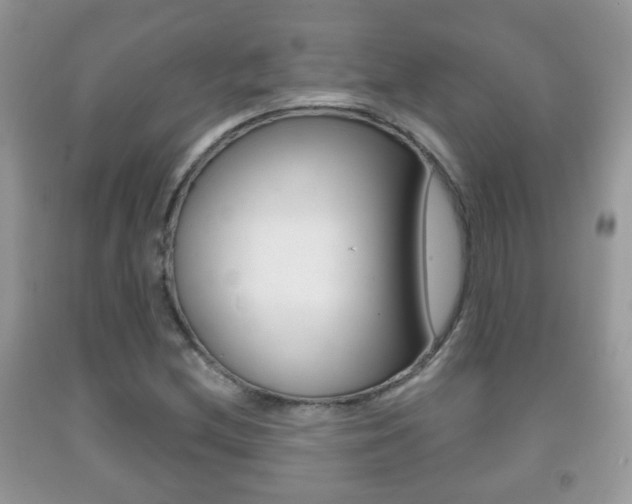 X0000091931212200709051233