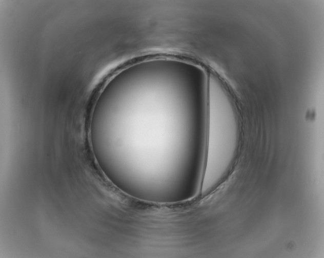 X0000091931214200709051234