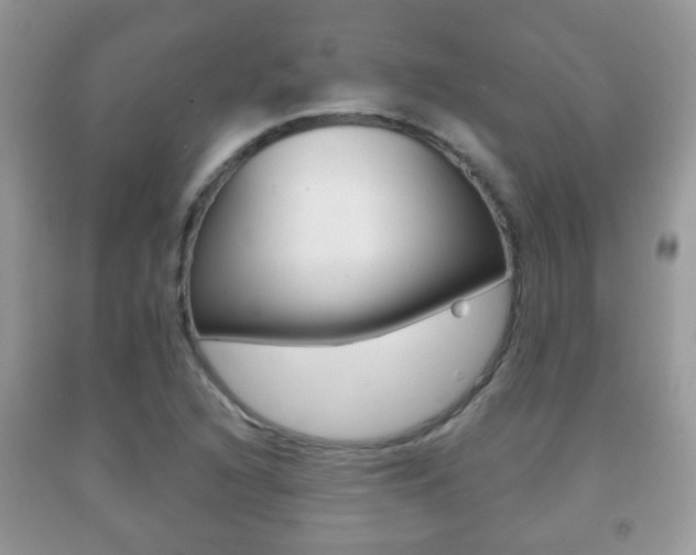 X0000091931216200709051234