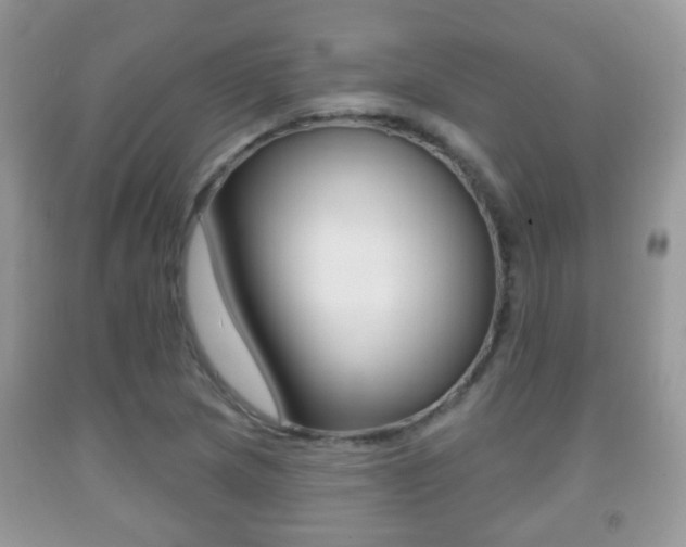 X0000091931217200709051234