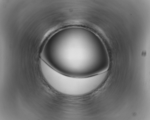 X0000091931218200709051234