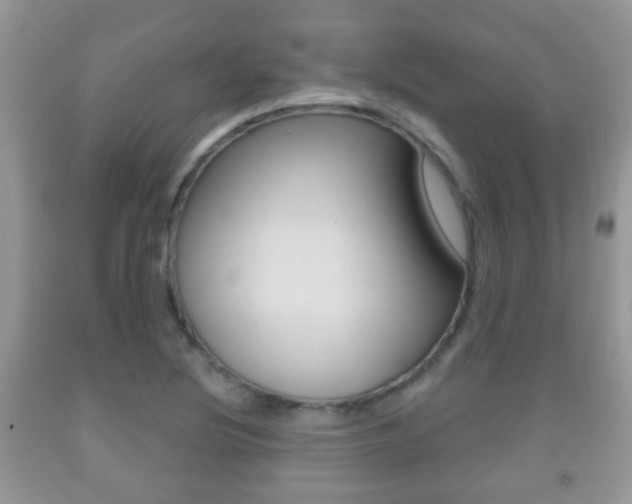 X0000091931220200709051234