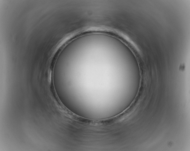 X0000091931221200709051234