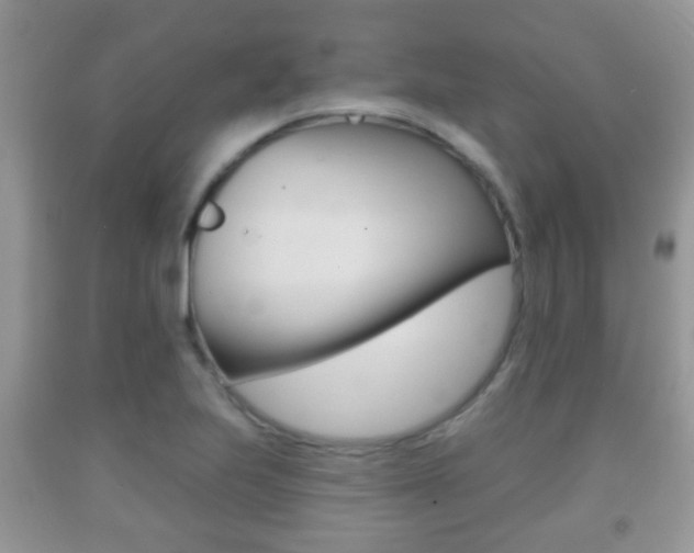 X0000091931223200709051234