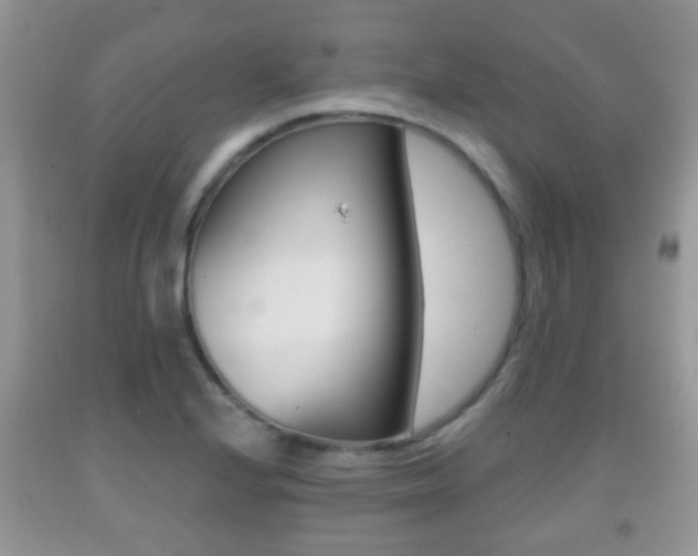 X0000091931224200709051234