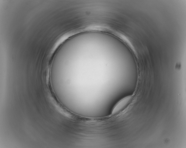 X0000091931227200709051234