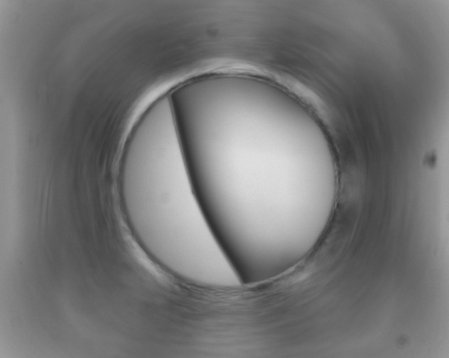 X0000091931231200709051234