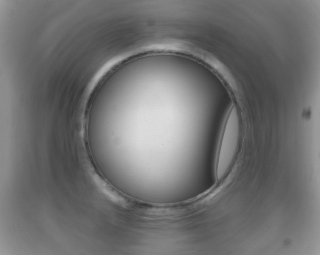 X0000091931232200709051234