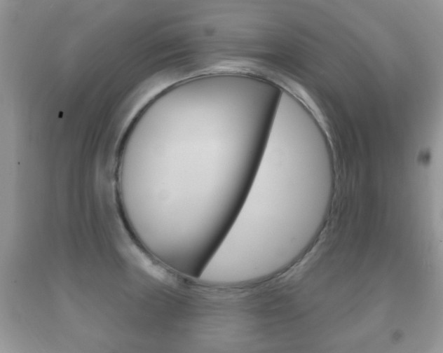 X0000091931235200709051234