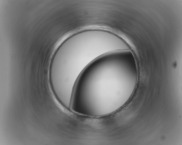 X0000091931237200709051234