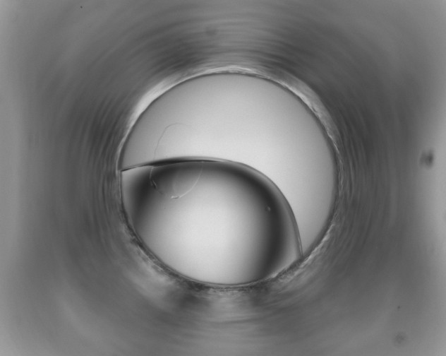 X0000091931242200709051234