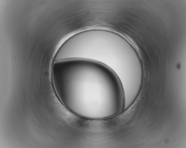 X0000091931246200709051234