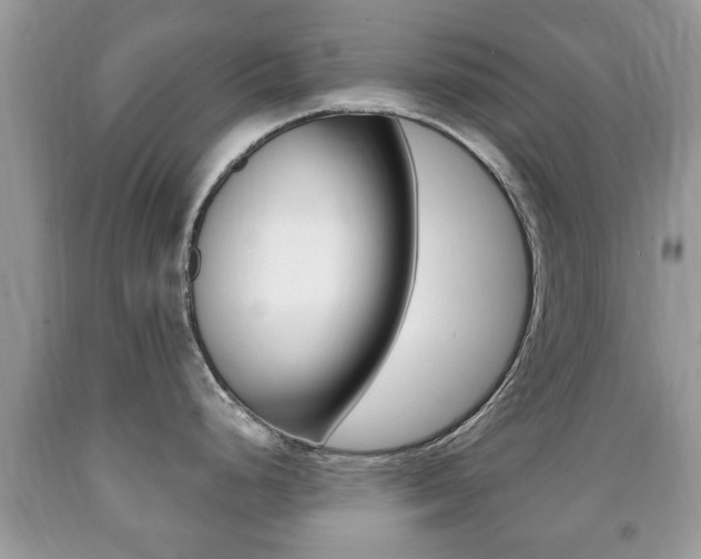 X0000091931248200709051234