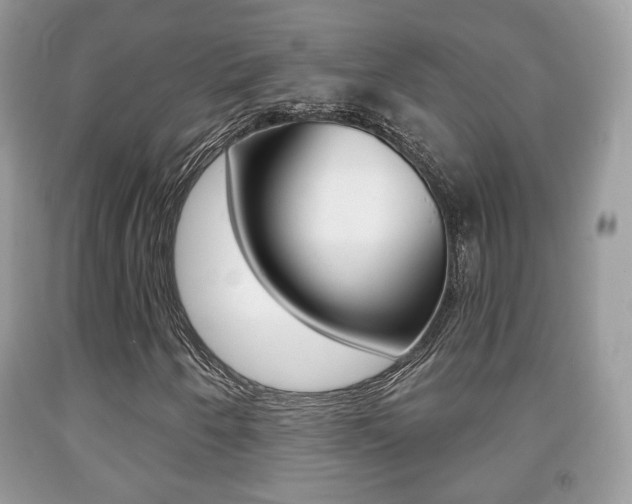 X0000091931250200709051233