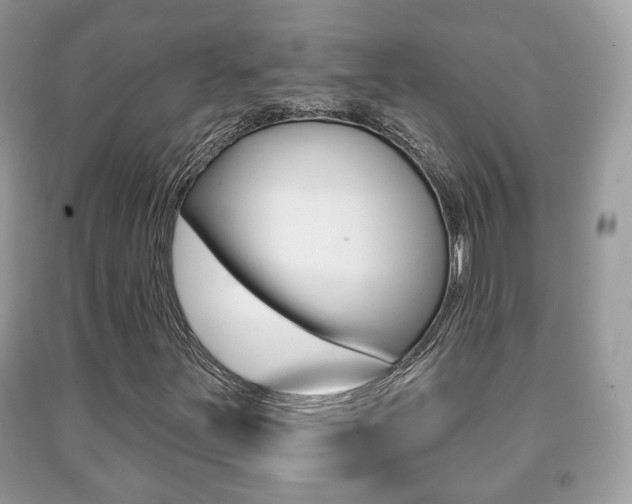 X0000091931251200709051233