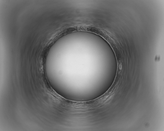 X0000091931252200709051233