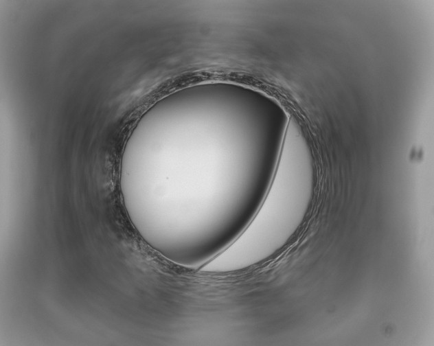 X0000091931253200709051233