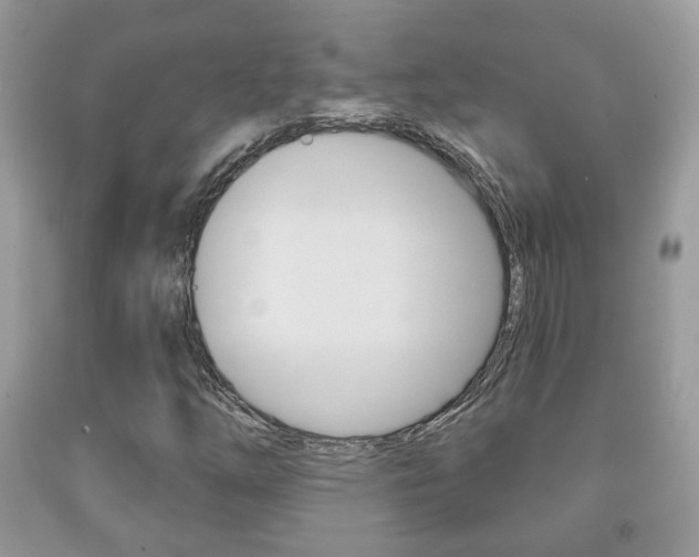 X0000091931254200709051233