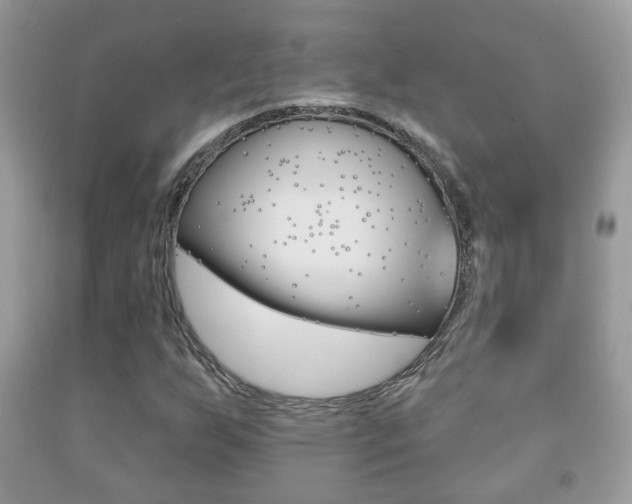 X0000091931255200709051233